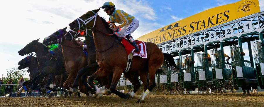 How To Place Your Preakness Stakes Bet 