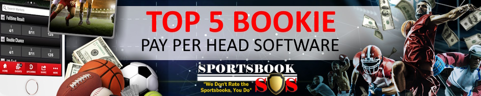 5 Companies with the Best Bookie Pay Per Head Software